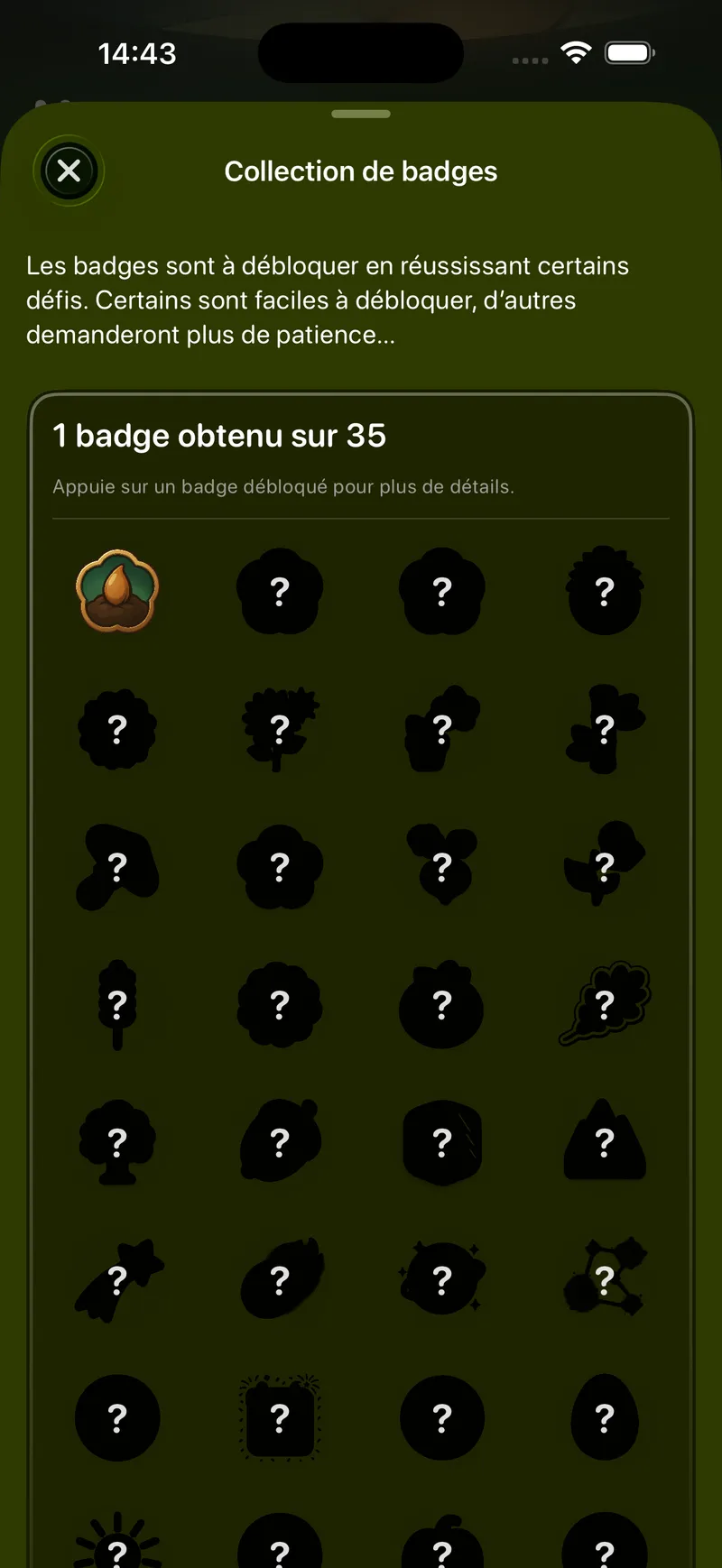 Collections & badges